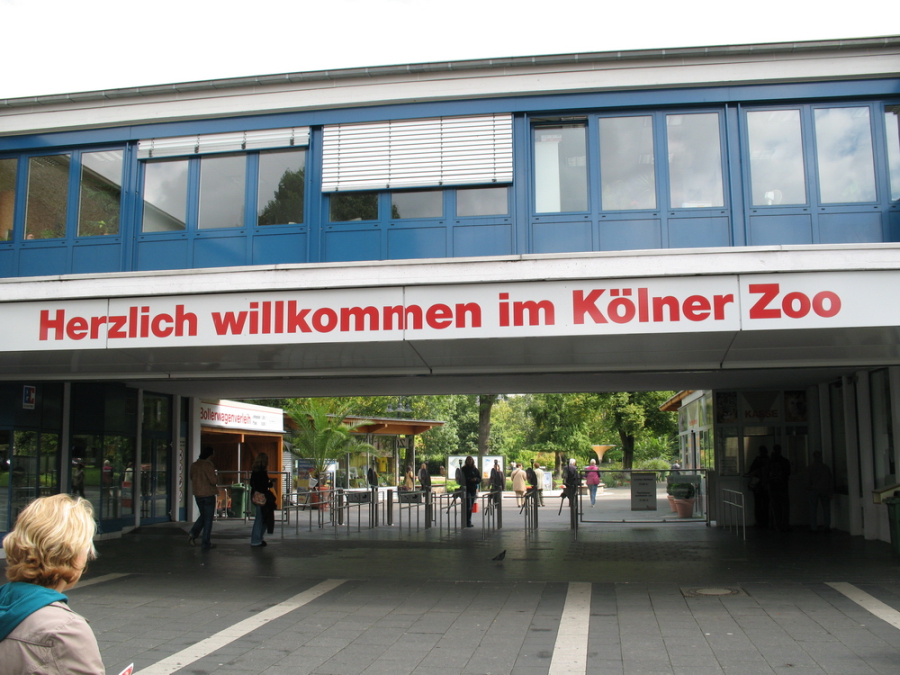 Kölner Zoo Eingang